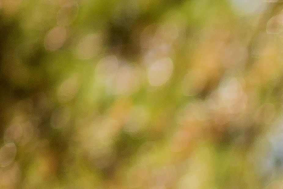 Babybauch Fotografie